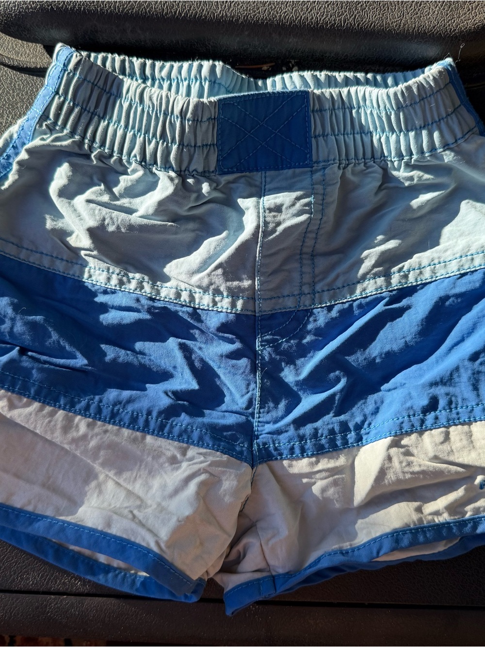 PATAGONIA Blue Colorblock Shorts